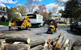  Meadow Vale, KY Tree Services Pros