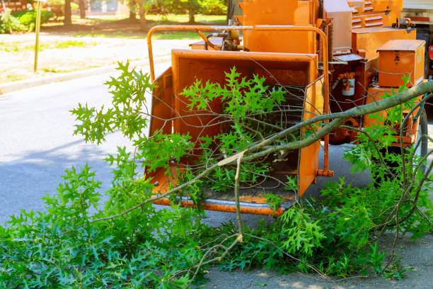 Best Aeration Services  in Meadow Vale, KY