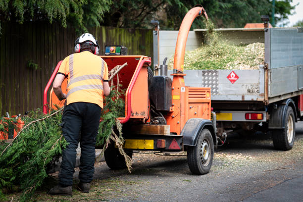 Best Grass Overseeding  in Meadow Vale, KY