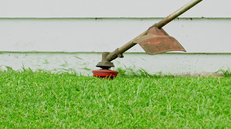 Best Hedge Trimming  in Meadow Vale, KY