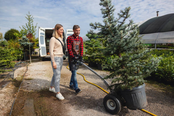 Best Lawn Disease Treatment  in Meadow Vale, KY